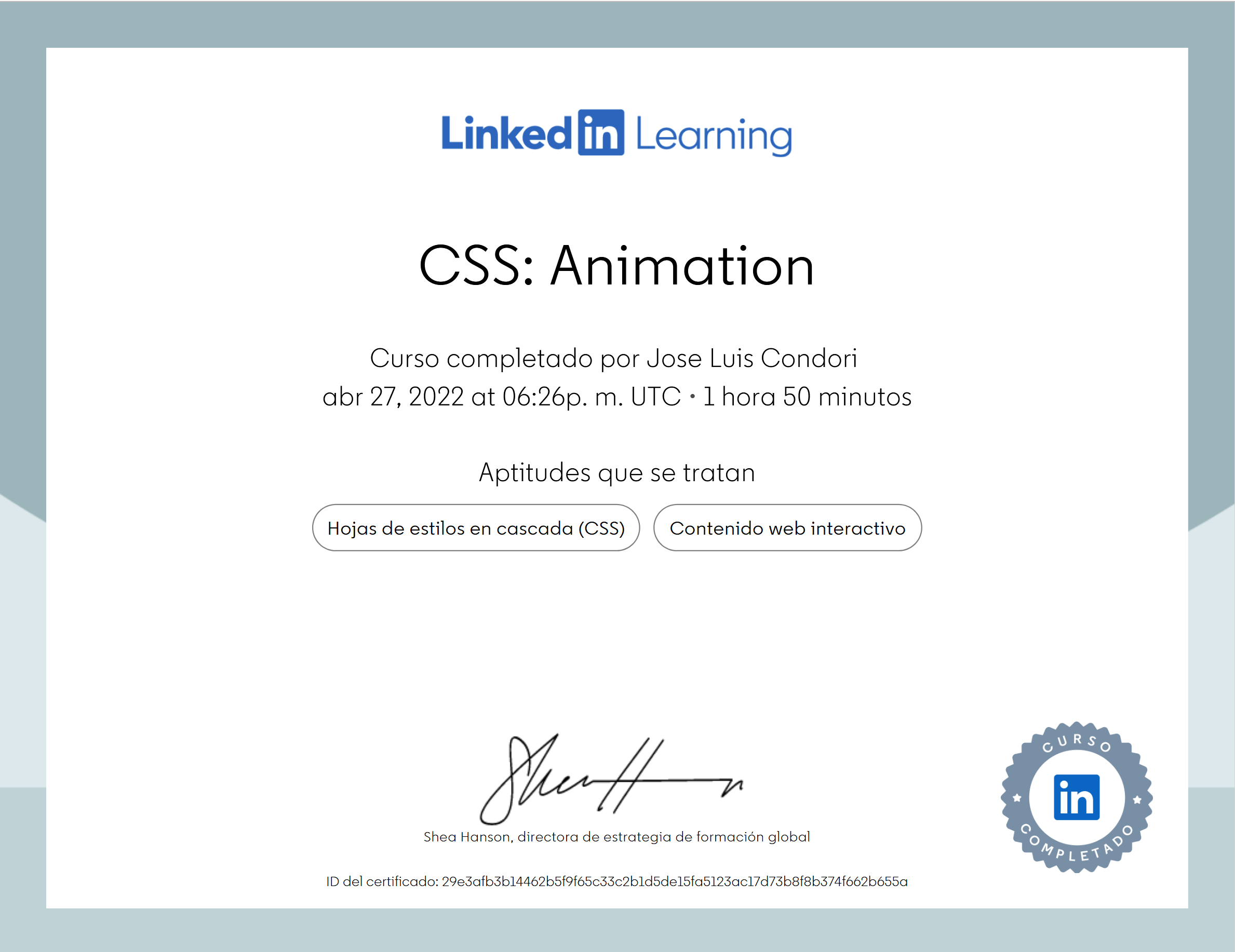 CSS Animation
